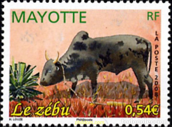 Sellos: 227808 MNH MAYOTTE 2008 ZEBU