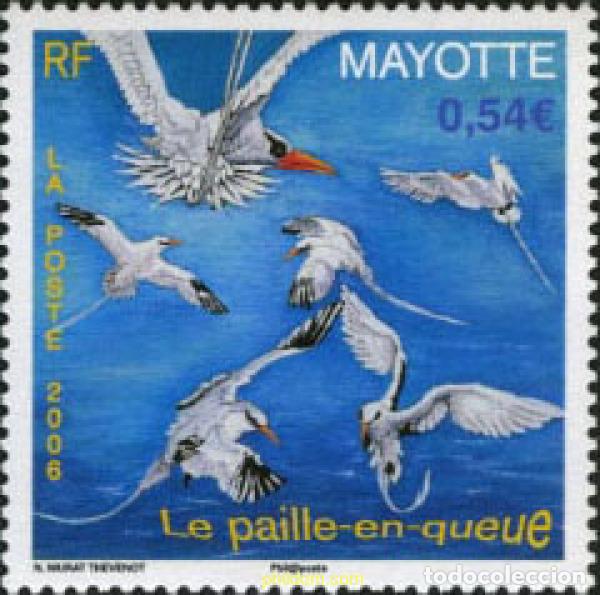 Sellos: 196730 MNH MAYOTTE 2006 ISLA PAILLE EN QUEUE