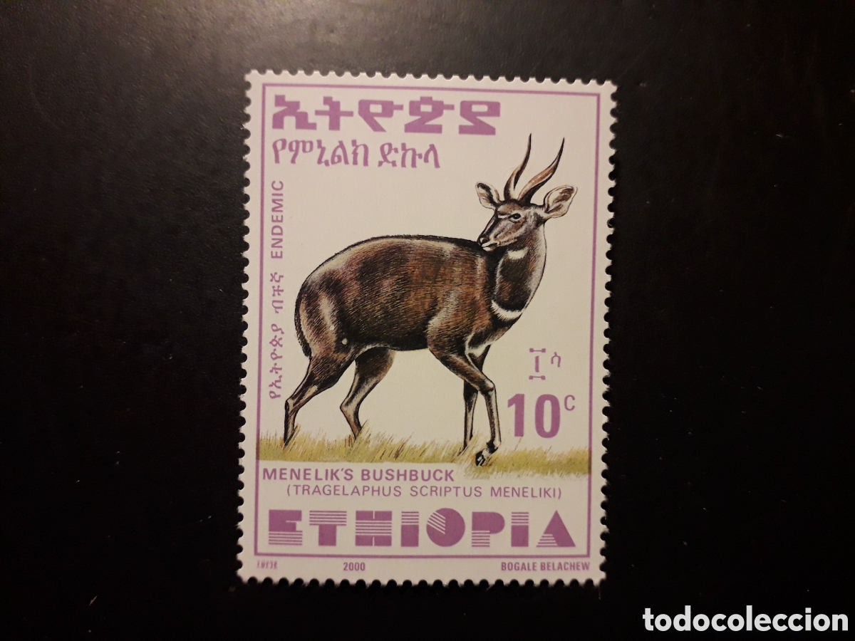 Sellos: ETIOP&Iacute;A YVERT 1554 SELLO SUELTO NUEVO *** 2002 FAUNA, ANT&Iacute;LOPE PEDIDO M&Iacute;NIMO 3&euro;