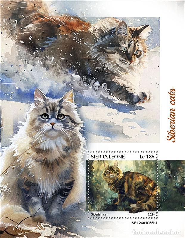 Sellos: Sierra Leona 2024 Mi. Bl. 3156 bloque gatos siberianos