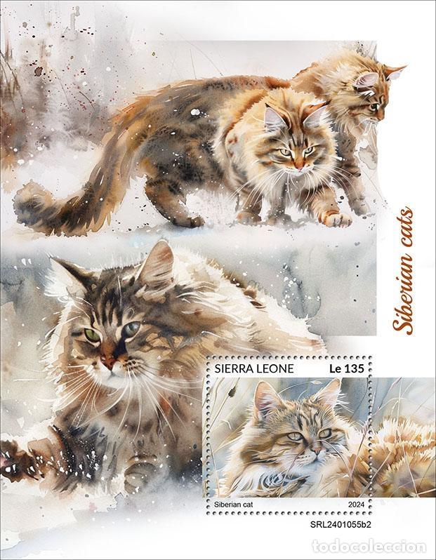 Sellos: Sierra Leona 2024 Mi. Bl. 3157 bloque gatos siberianos