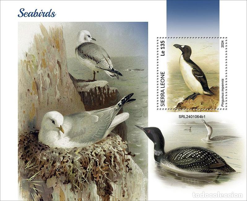 Selos: Sierra Leona 2024 Mi. Bl. 3166 bloque aves marinas frailecillos