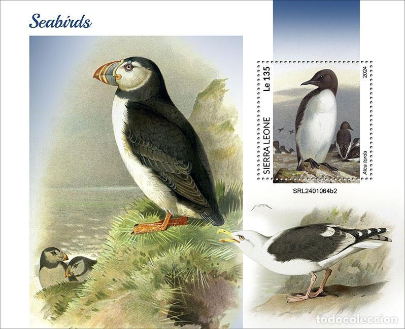 Selos: Sierra Leona 2024 Mi. Bl. 3167 bloque aves marinas frailecillos