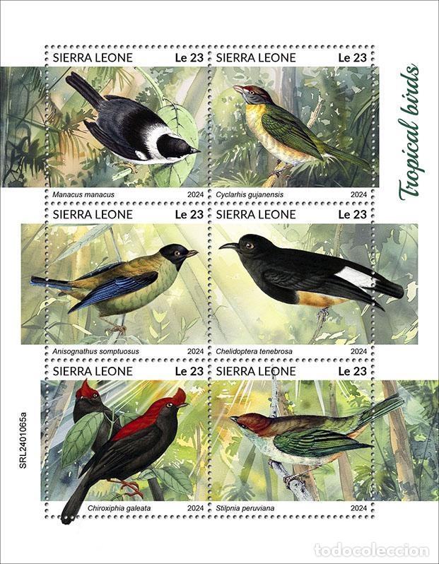 Selos: Sierra Leona 2024 Mi. 18196-18201 hoja aves tropicales
