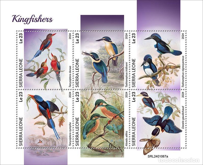 Selos: Sierra Leona 2024 Mi. 18212-18217 hoja martines pescadores aves