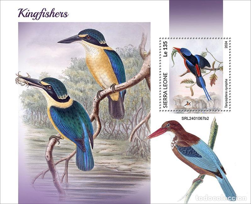 Selos: Sierra Leona 2024 Mi. Bl. 3173 bloque martines pescadores aves