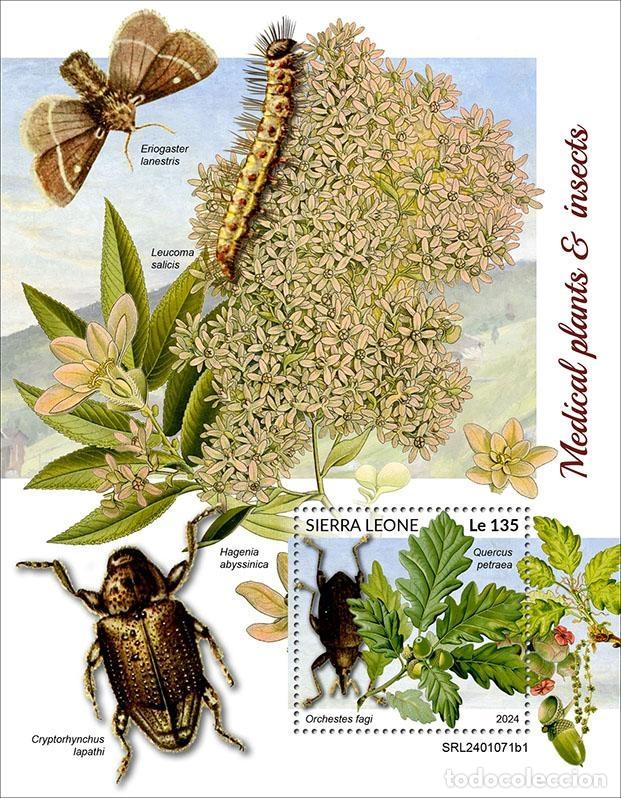 Briefmarken: Sierra Leona 2024 Mi. Bl. 3134 bloque plantas medicinales insectos