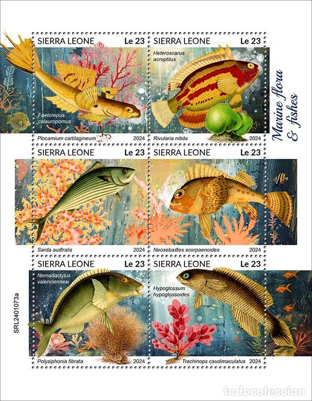 Briefmarken: Sierra Leona 2024 Mi. 18076-18081 hoja flora marina peces