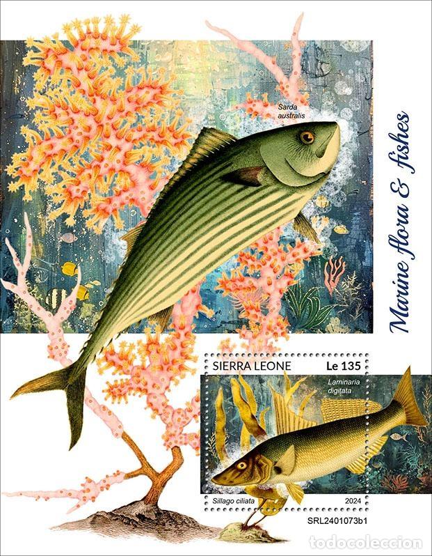 Briefmarken: Sierra Leona 2024 Mi. Bl. 3138 bloque flora marina peces