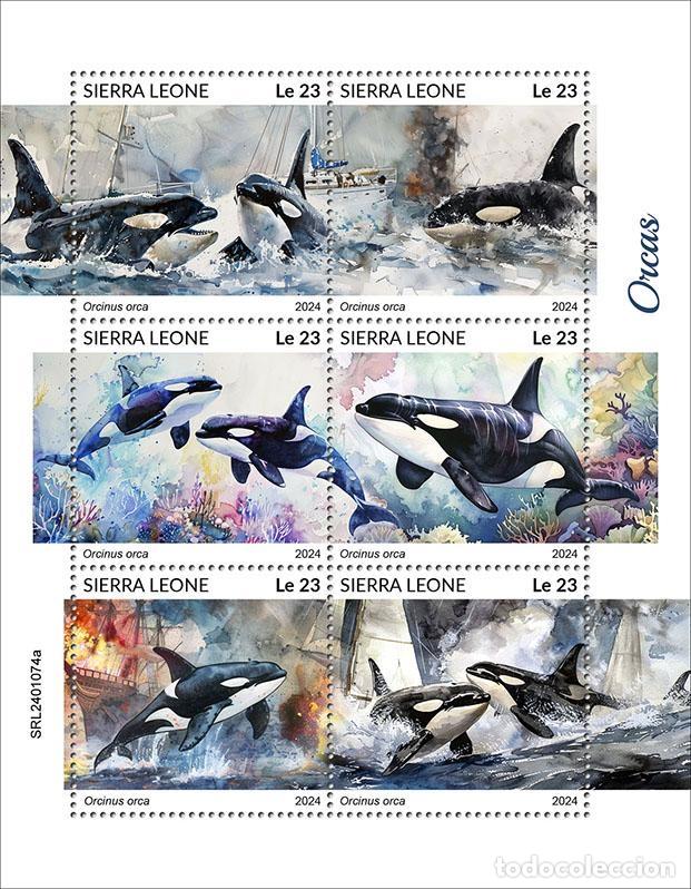 Briefmarken: Sierra Leona 2024 Mi. 18084-18089 hoja orcas