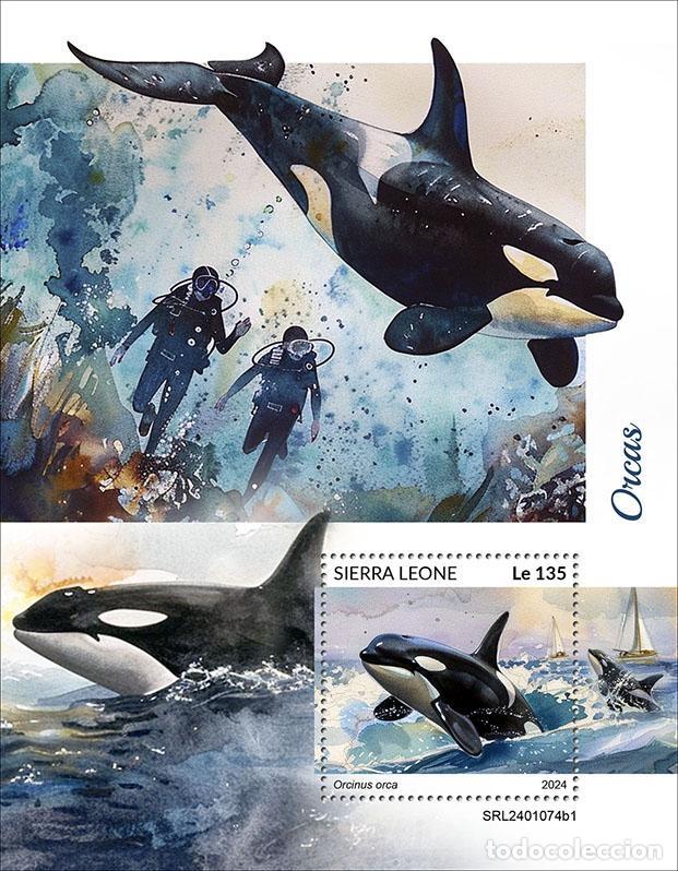 Briefmarken: Sierra Leona 2024 Mi. Bl. 3140 bloque orcas