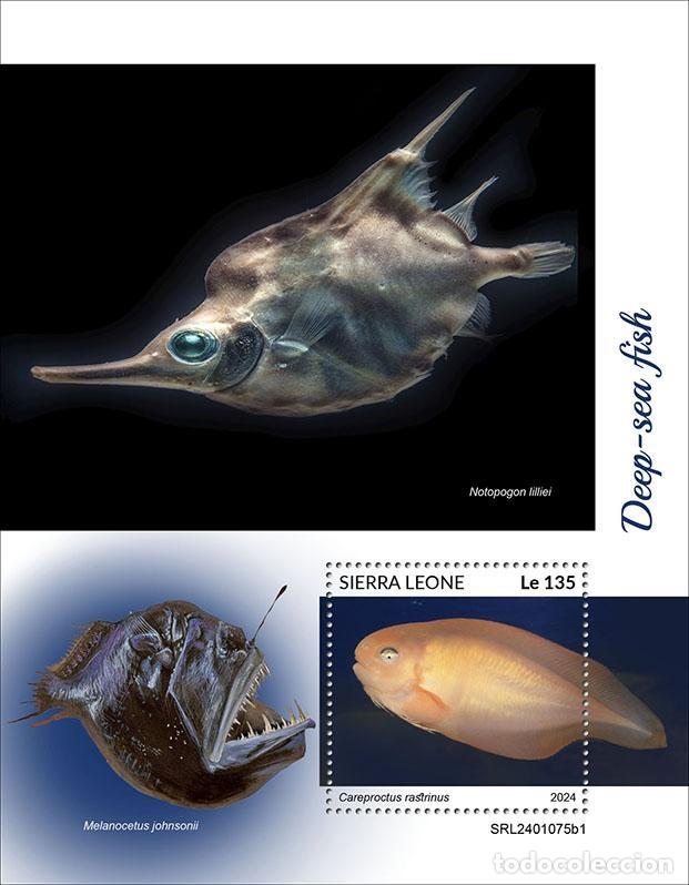 Briefmarken: Sierra Leona 2024 Mi. Bl. 3142 bloque peces de las profundidades