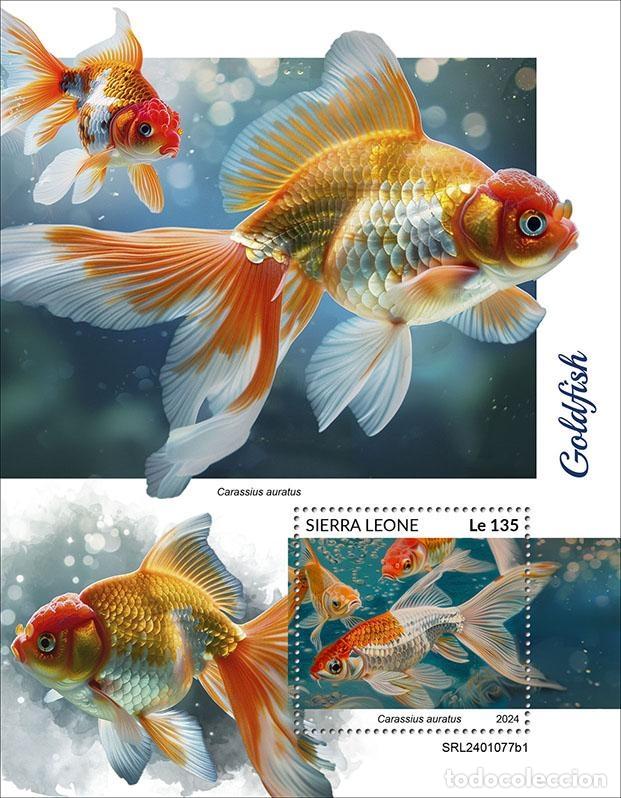 Francobolli: Sierra Leona 2024 Mi. Bl. 3146 bloque peces rojos