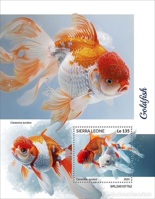 Francobolli: Sierra Leona 2024 Mi. Bl. 3147 bloque peces rojos