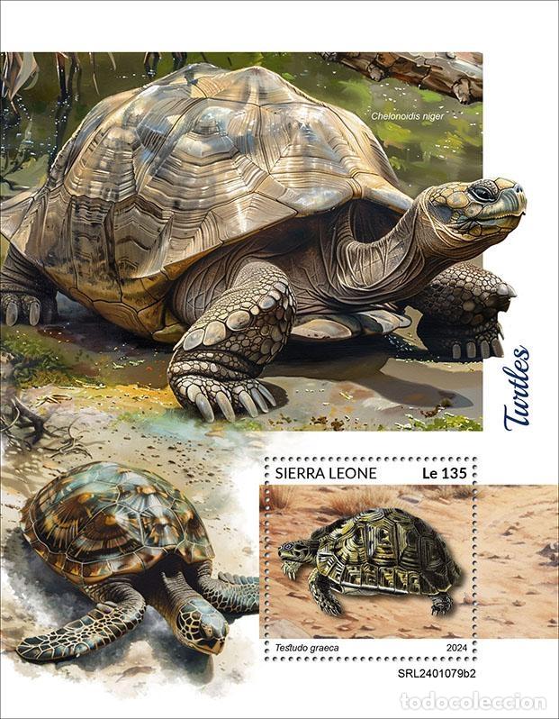 Francobolli: Sierra Leona 2024 Mi. Bl. 3151 bloque tortugas