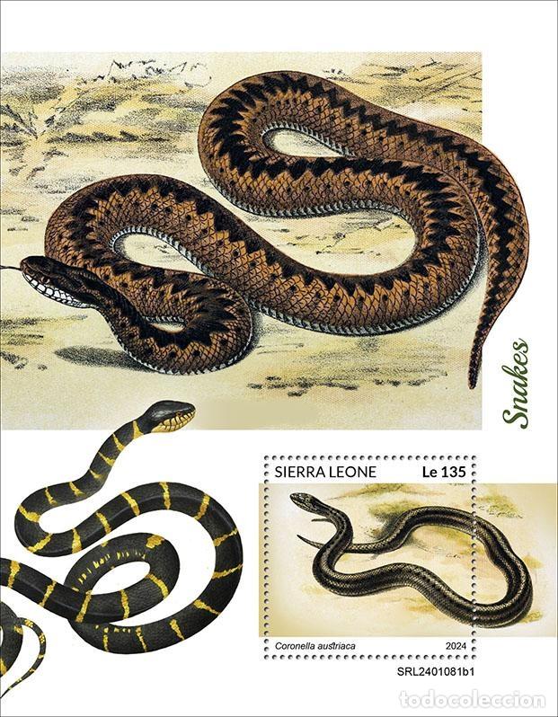 Francobolli: Sierra Leona 2024 Mi. Bl. 3154 bloque serpientes reptiles