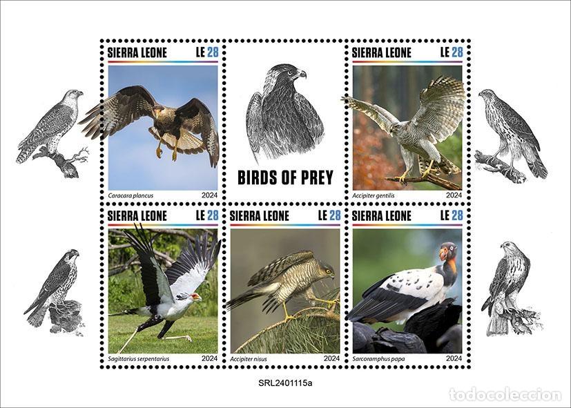 Sellos: Sierra Leona 2024 Mi. 18600-18604 hoja rapaces aves de presa