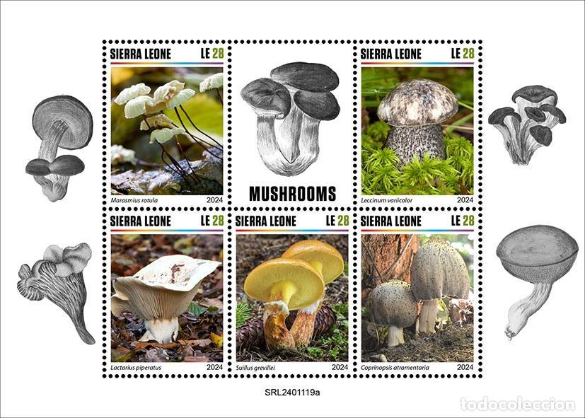 Sellos: Sierra Leona 2024 Mi. 18595-18599 hoja setas