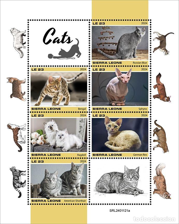 Sellos: Sierra Leona 2024 Mi. 18815-18820 hoja gatos de raza