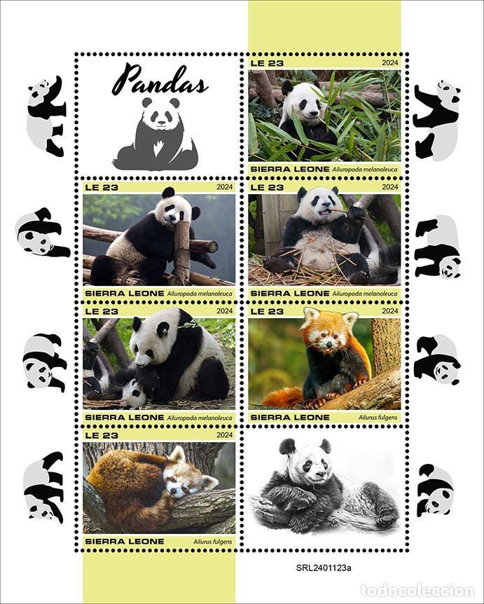 Sellos: Sierra Leona 2024 Mi. 18827-18832 hoja pandas