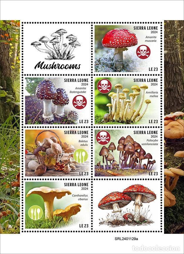 Sellos: Sierra Leona 2024 Mi. 18869-18874 hoja setas amanita boleto