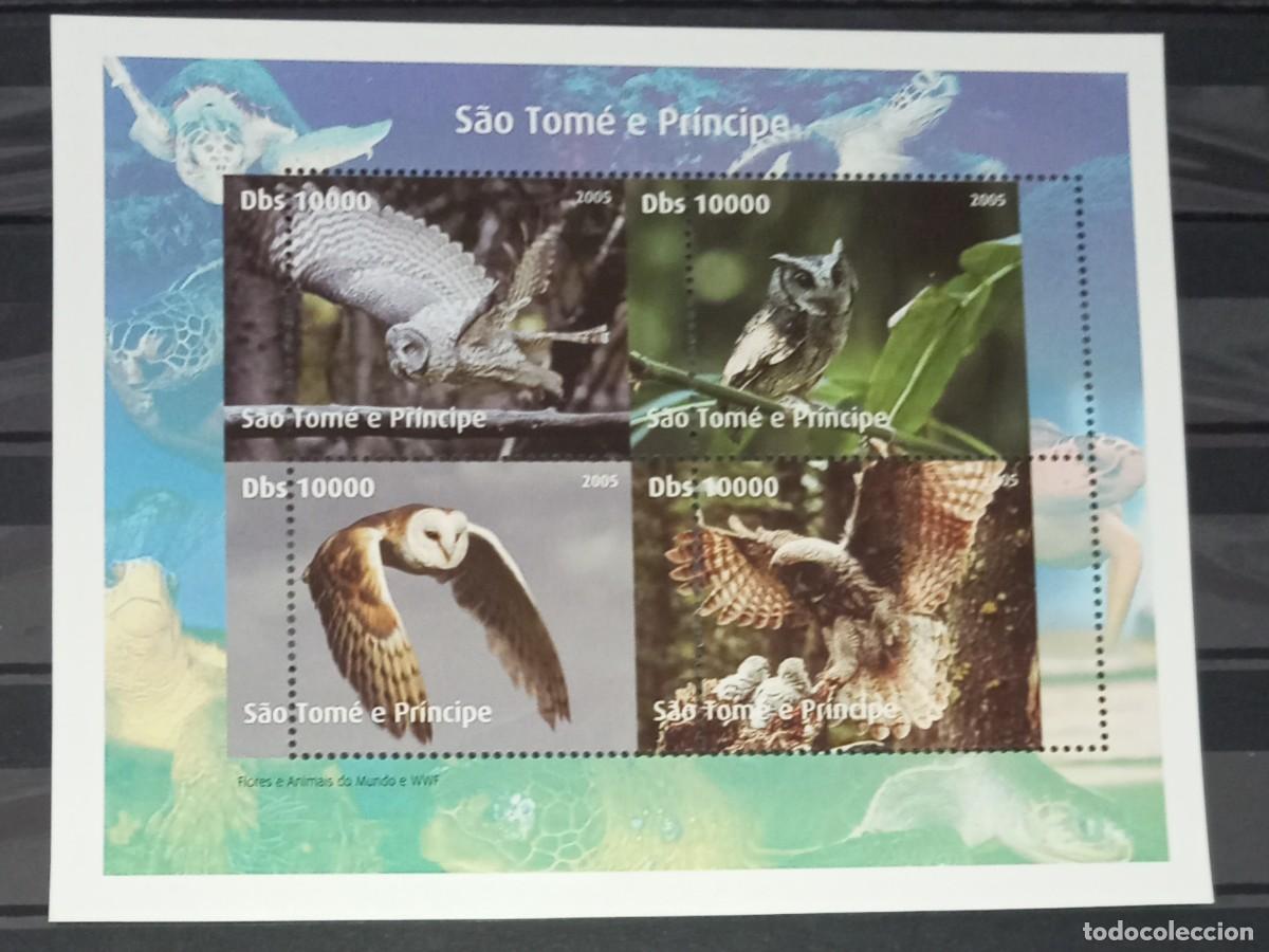 Sellos: TOME PRINCIPE 2005 SHEET MNH ERROR WWF FAUNA OWLS CHOUETTES HIBOUX EULEN BUHOS LECHUZAS BIRDS AVES