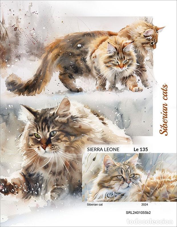 Francobolli: Sierra Leone 2024 Mi. Bl. 3157 bloc sin perforar gatos siberianos