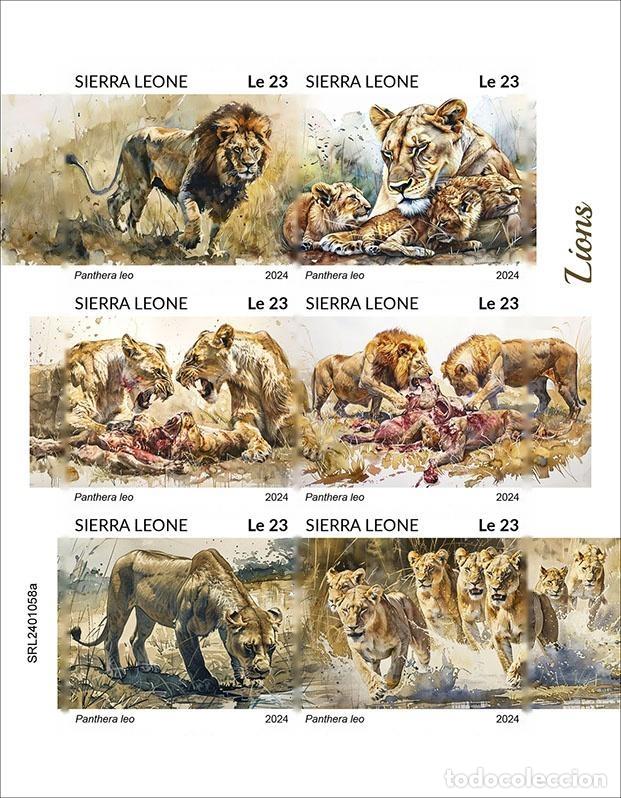 Selos: Sierra Leona 2024 Mi. 18172-18177 hoja sin dentar leones felinos