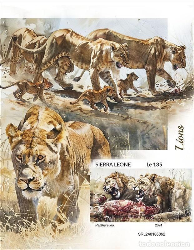 Selos: Sierra Leona 2024 Mi. Bl. 3163 bloque sin perforar leones felinos