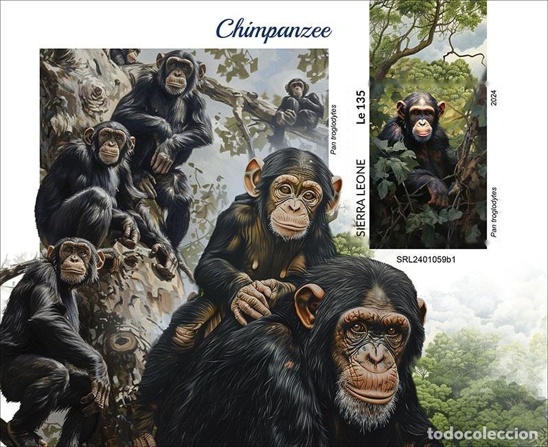 Selos: Sierra Leona 2024 Mi. Bl. 3164 bloque sin dentar chimpanc&eacute;s monos