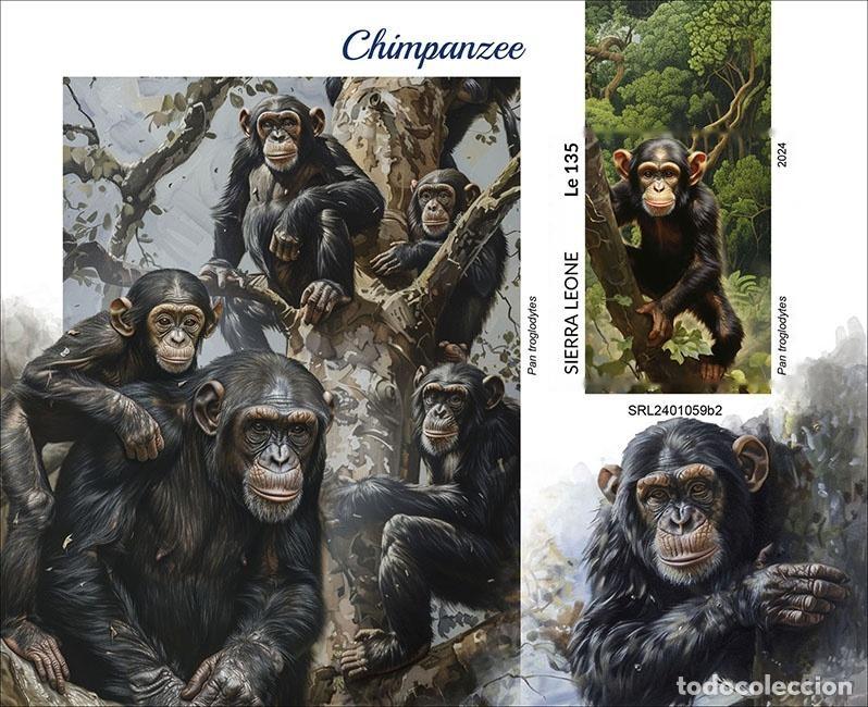 Selos: Sierra Leona 2024 Mi. Bl. 3165 bloque sin dentar chimpanc&eacute;s simios