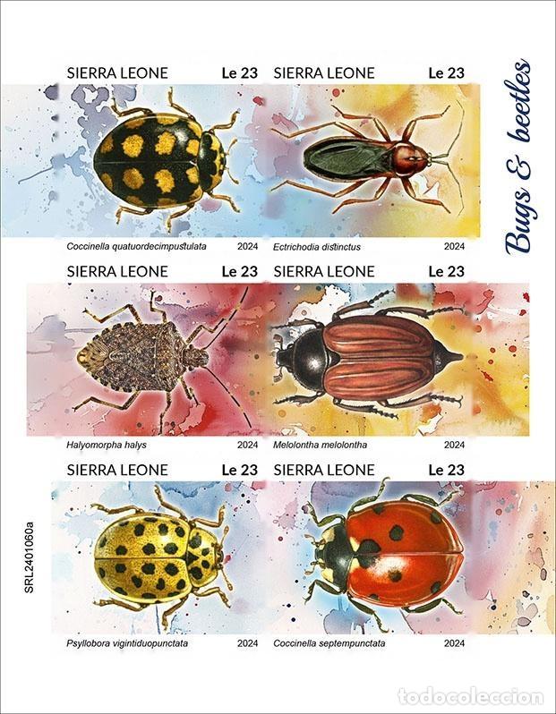Selos: Sierra Leona 2024 Mi. 18012-18017 hoja sin dentar insectos cole&oacute;pteros