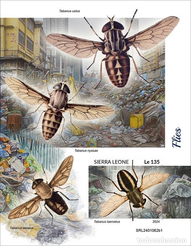 Selos: Sierra Leona 2024 Mi. Bl. 3126 bloque sin perforar moscas t&aacute;banos insectos