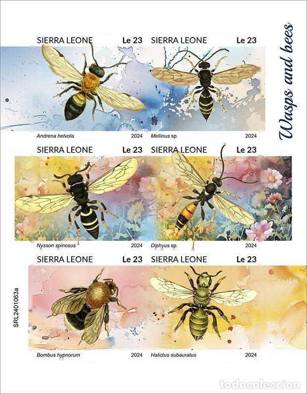 Selos: Sierra Leona 2024 Mi. 18036-18041 hoja sin dentar avispas abejas insectos