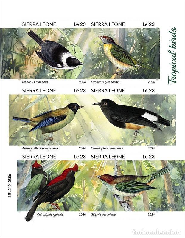 Selos: Sierra Leona 2024 Mi. 18196-18201 hoja sin dentar aves tropicales