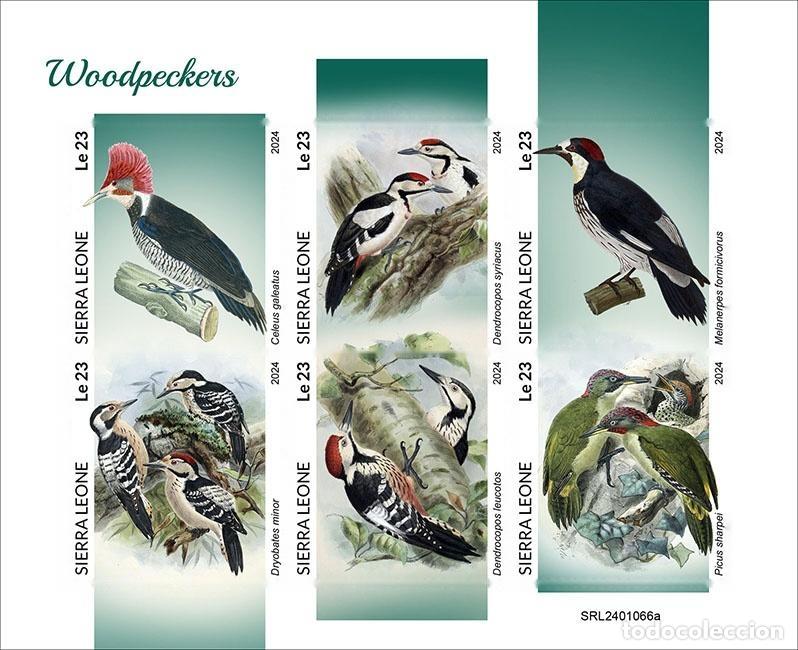 Selos: Sierra Leona 2024 Mi. 18204-18209 hoja sin dentar picos aves