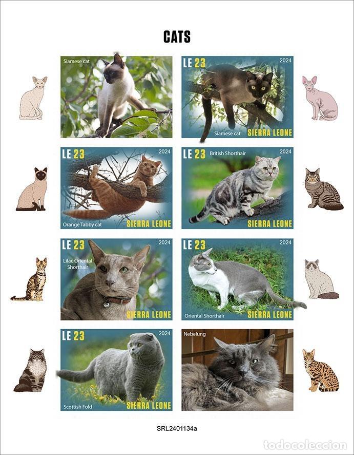 Sellos: Sierra Leona 2024 Mi. 18857-18862 hoja sin dentar gatos de raza