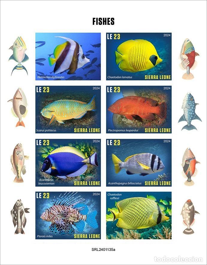 Sellos: Sierra Leona 2024 Mi. 18863-18868 hoja sin dentar peces tropicales