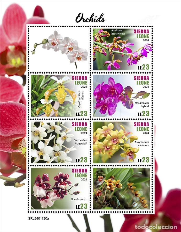 Sellos: Sierra Leona 2024 Mi. 18875-18880 hoja orqu&iacute;deas