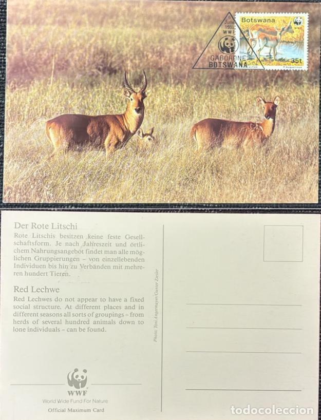 Sellos: TS.)1988, BOTSWANA, GABORONE, MAXIMUM CARD, FIRST DAY COVER, PRE-PRINTED WITH A COLOR PHOTOGRAPH OF