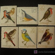 Sellos: ALEMANIA ORIENTAL DDR 1979 IVERT 2056/61 *** PAJAROS CANTORES - FAUNA - AVES. Lote 29724365