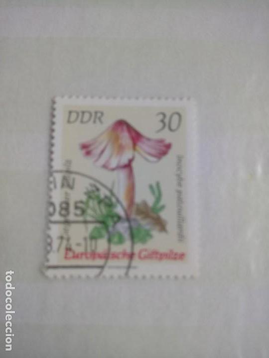 Sellos: RDA, SETAS, 1938 - SELLO DE 1974