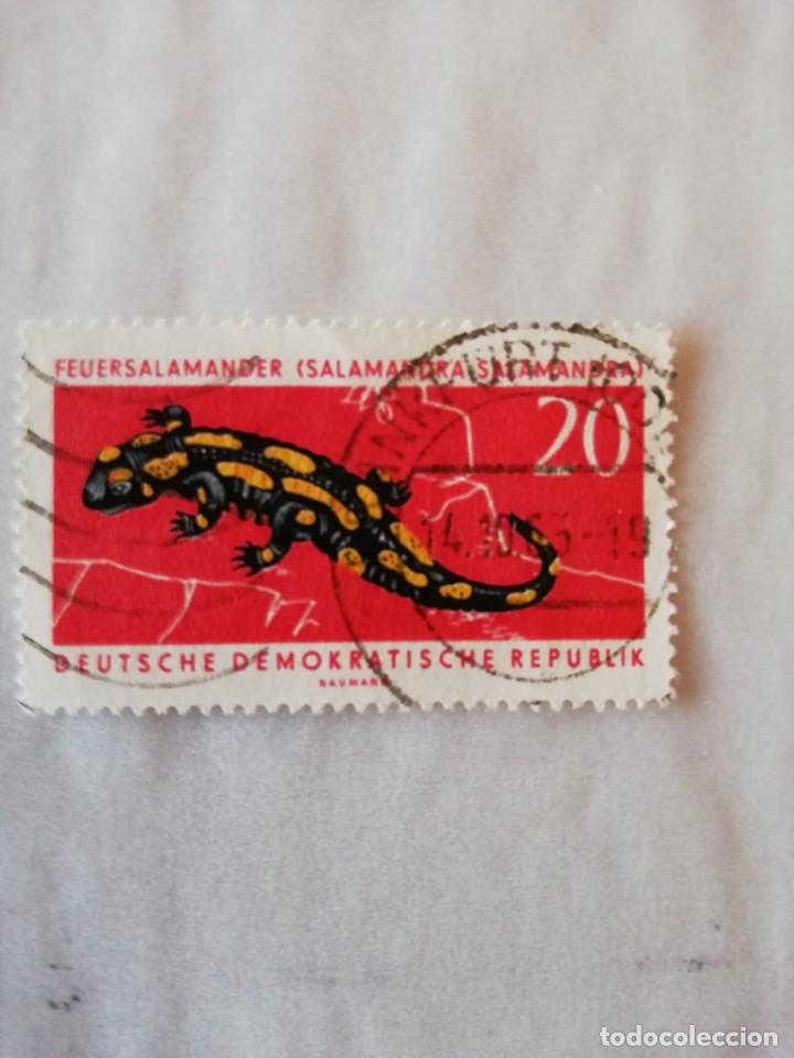 Sellos: DDR A&Ntilde;O 1963 YT NUM. 682 - Foto 1