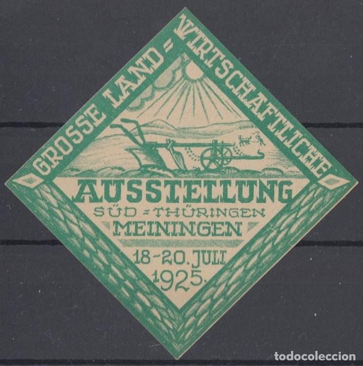 Selos: F-EX14979 GERMANY CINDERELLA 52mm 1925 MEININGEN, THURINGEN. NO GUM.