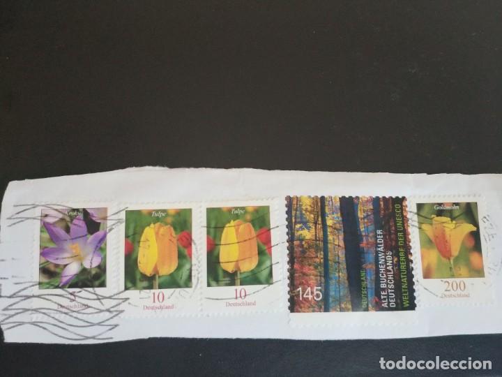 Sellos: SELLOS DE ALEMANIA DEUTSCHLAND: KROKUS + TULIPE (2) + ALTE BUCHENW&Auml;LDER DEUTSCHLANDS + GOLDMOHN