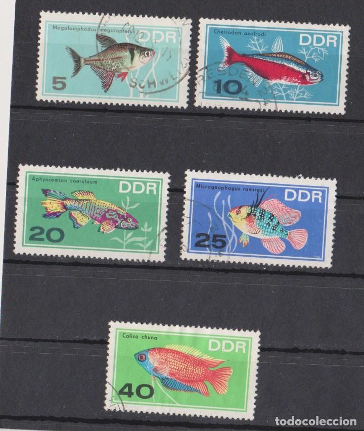 Sellos: DDR LOTE 5 SELLOS - Foto 1
