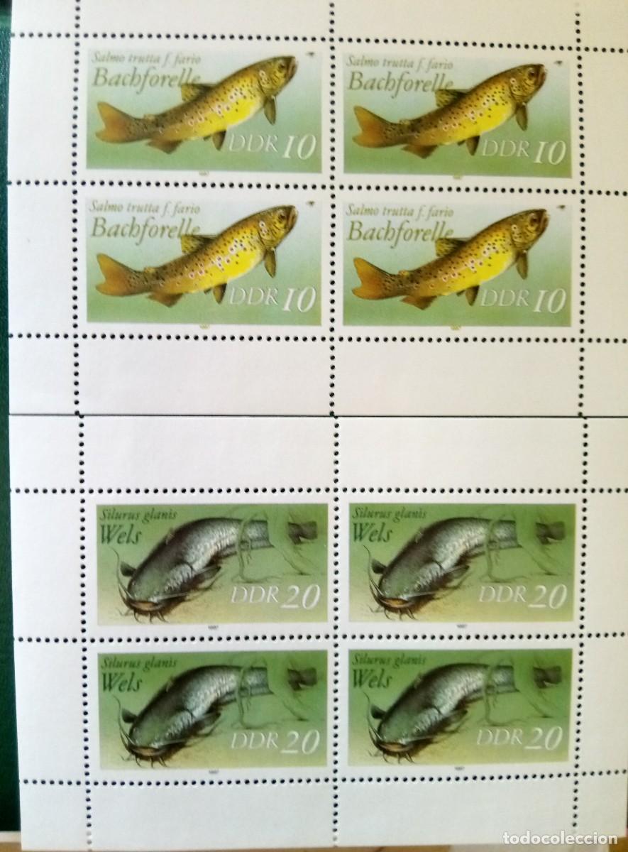 Sellos: Sellos DDR 1987. peces - Foto 1