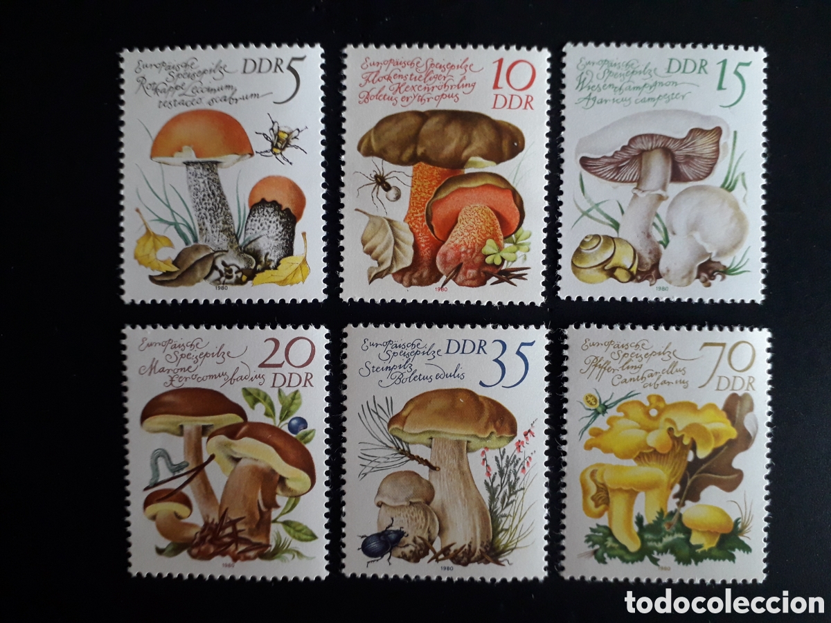 Francobolli: ALEMANIA ORIENTAL DDR YVERT 2210/5 SERIE COMPLETA NUEVA *** 1980 FLORA, SETAS PEDIDO M&Iacute;NIMO 3&euro;