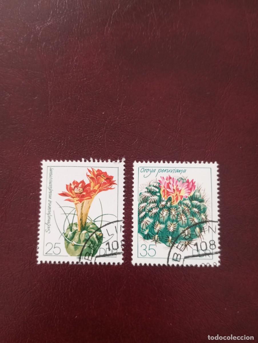 Sellos: ALEMANIA, REP&Uacute;BLICA DEMOCRATICA,RDA, DDR, 1983, CACTUS