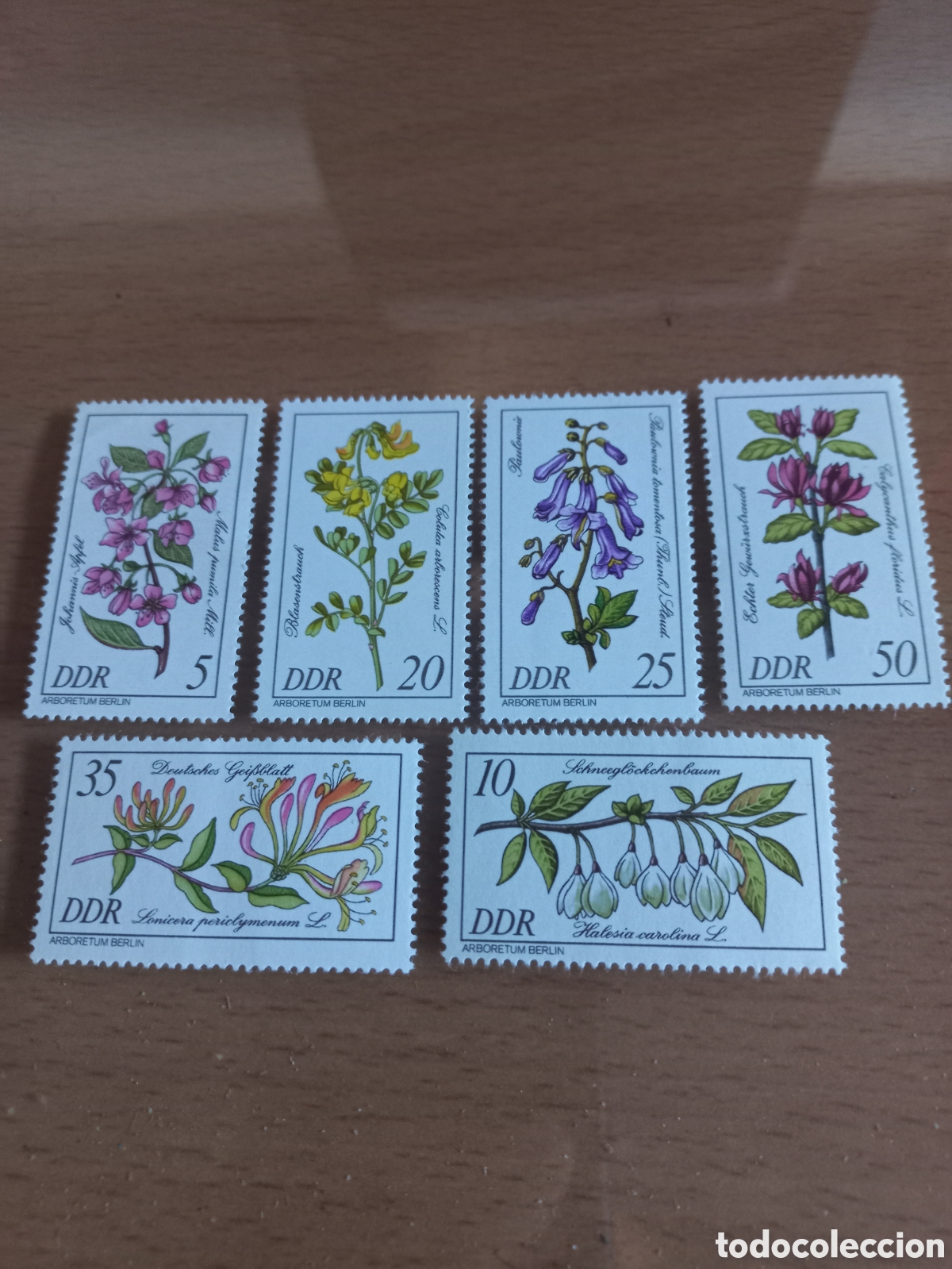 Stamps: SERIE DE SELLOS D.D.R.ALEMANIA **A&Ntilde;O 1981